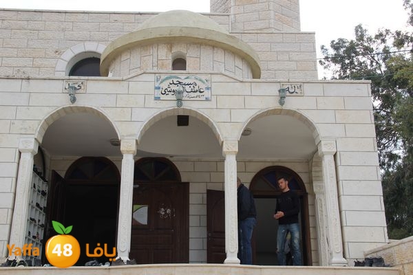 jarhoshuy msajed 0110 (81).JPG